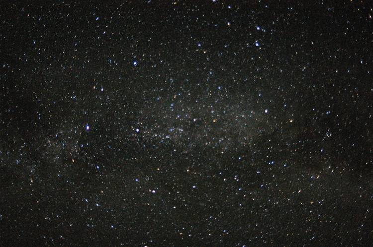 Cygnus