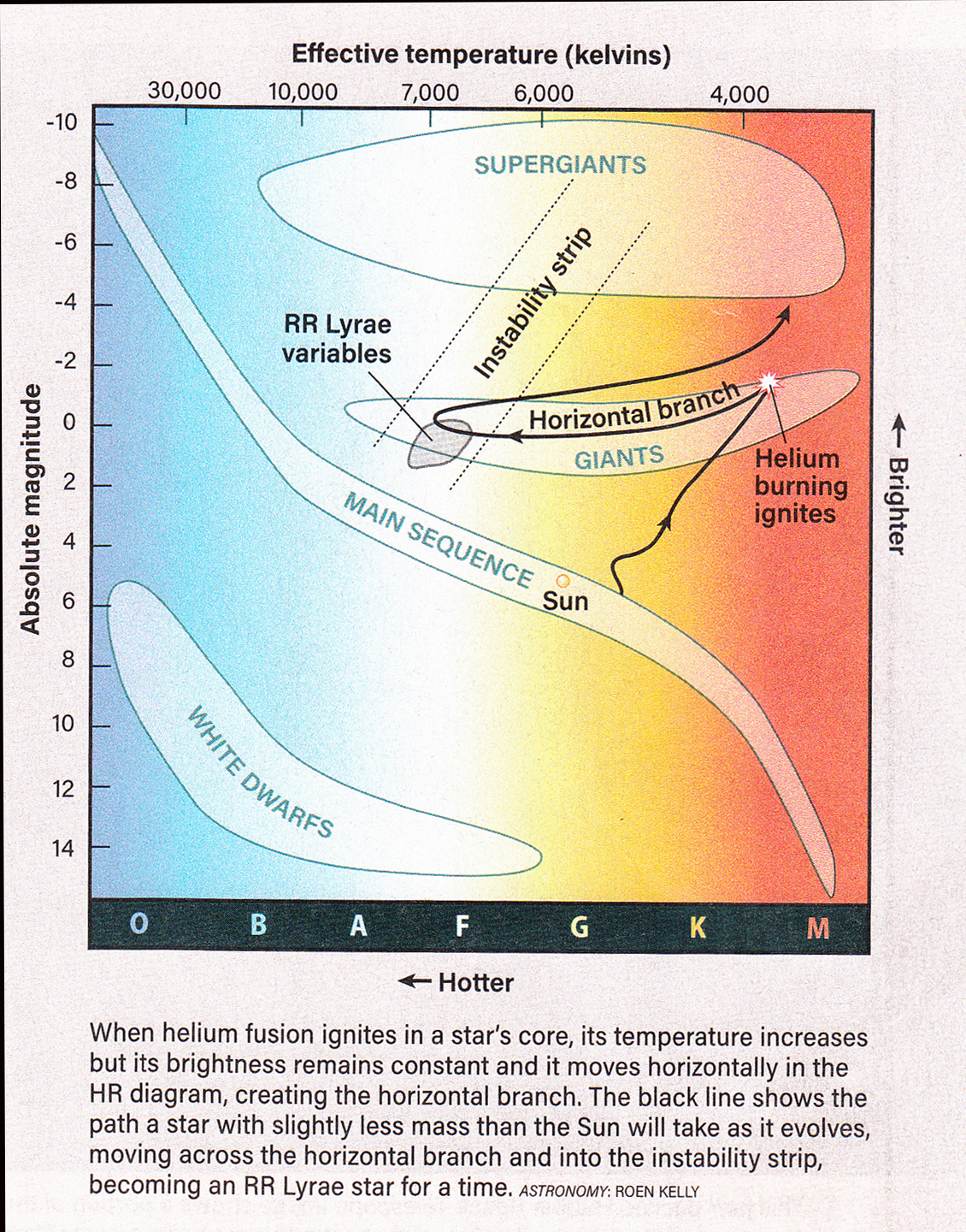 Horizontal Branch RR Lyrae stars