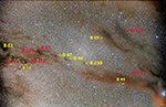 Barnard 176, 177, and 178